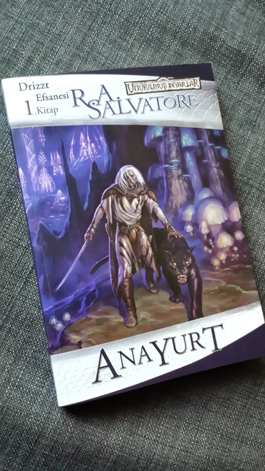 Bir Muhalifin Var Olma Çabası: Anayurt – R.A. Salvatore (Drizzt Efsanesi)