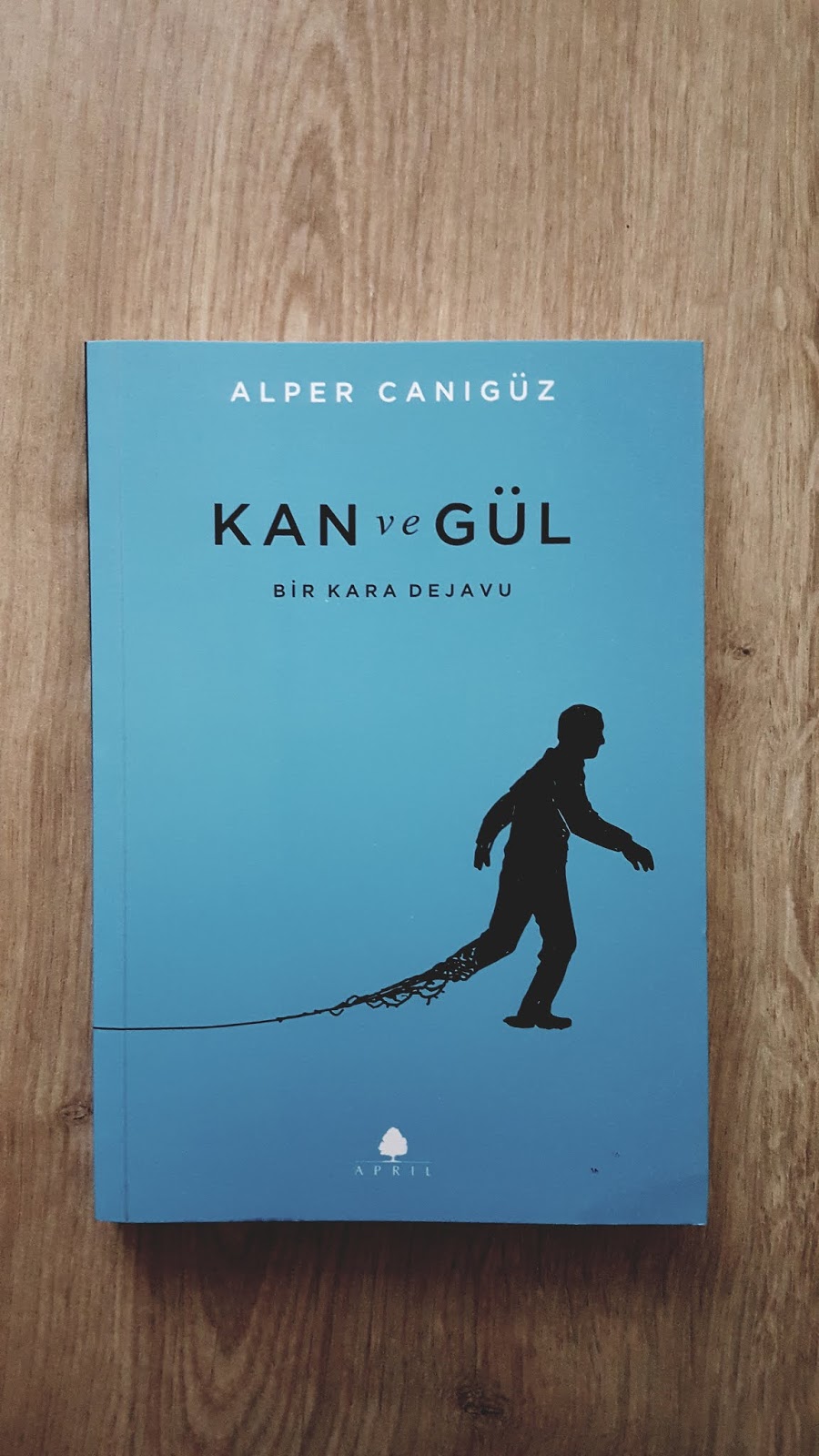 Gecenin Üçünde, Ankara’nın Ayazında: Kan Ve Gül (Bir Kara Dejavu) – Alper Canıgüz