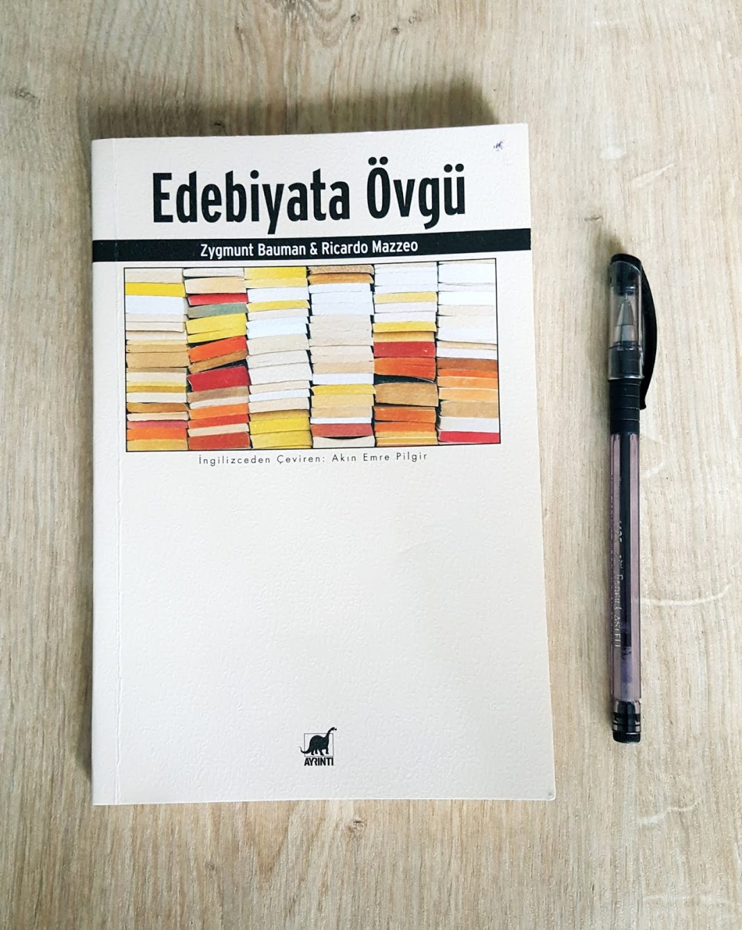 Akışkanlık ve Durağanlık: Edebiyata Övgü – Zygmunt Bauman & Ricardo Mazzeo