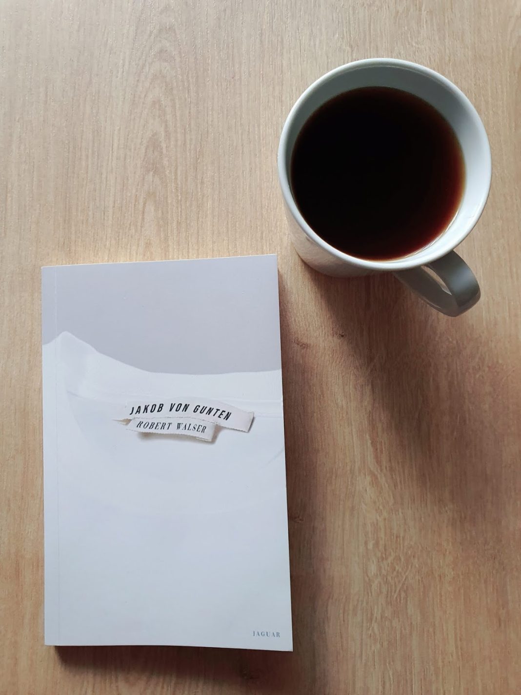 Dünya Küçük Bir Enstitü: Jakob Von Gunten – Robert Walser