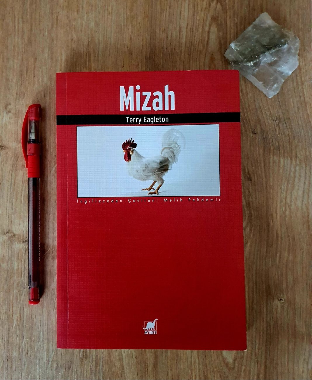 Bu Kitabın Şakası Yok: Mizah – Terry Eagleton