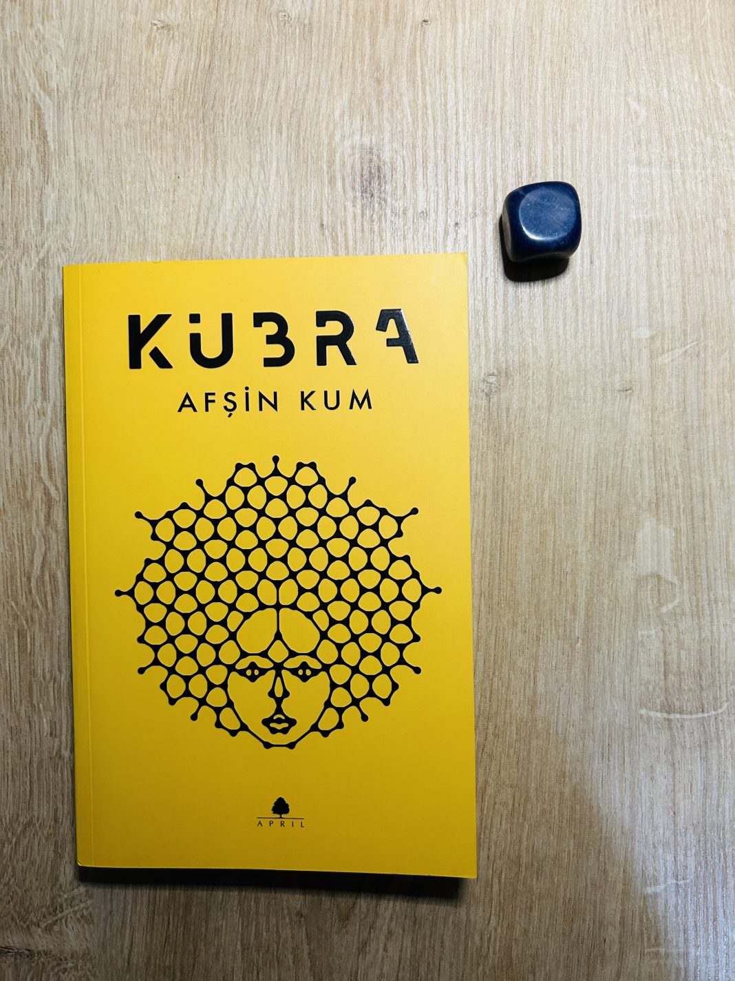 BÜŞRA: Bilişsel Üretimin Şaşalı Rotalara Adaptasyonu